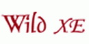 Американский холдинг «High technologies of light» - производитель Wild xe