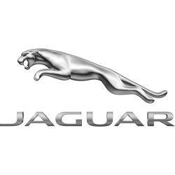 Ремонт двигателя Jaguar