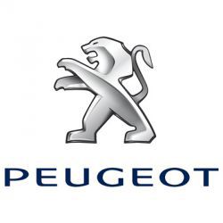Ремонт двигателя Peugeot