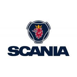 Ремонт двигателя Scania