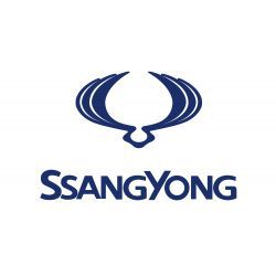 Установка биксеноновых линз SsangYong