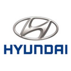 Корректировка спидометра Hyundai Trajet