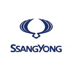 Установка и замена автостекол на SsangYong