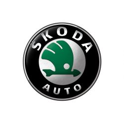 Ремонт автостекол на Skoda